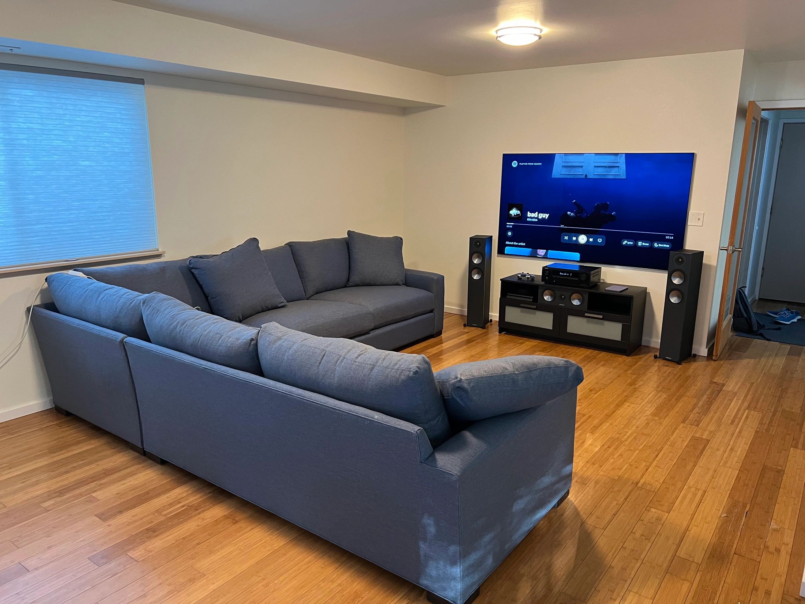 Home theater setup